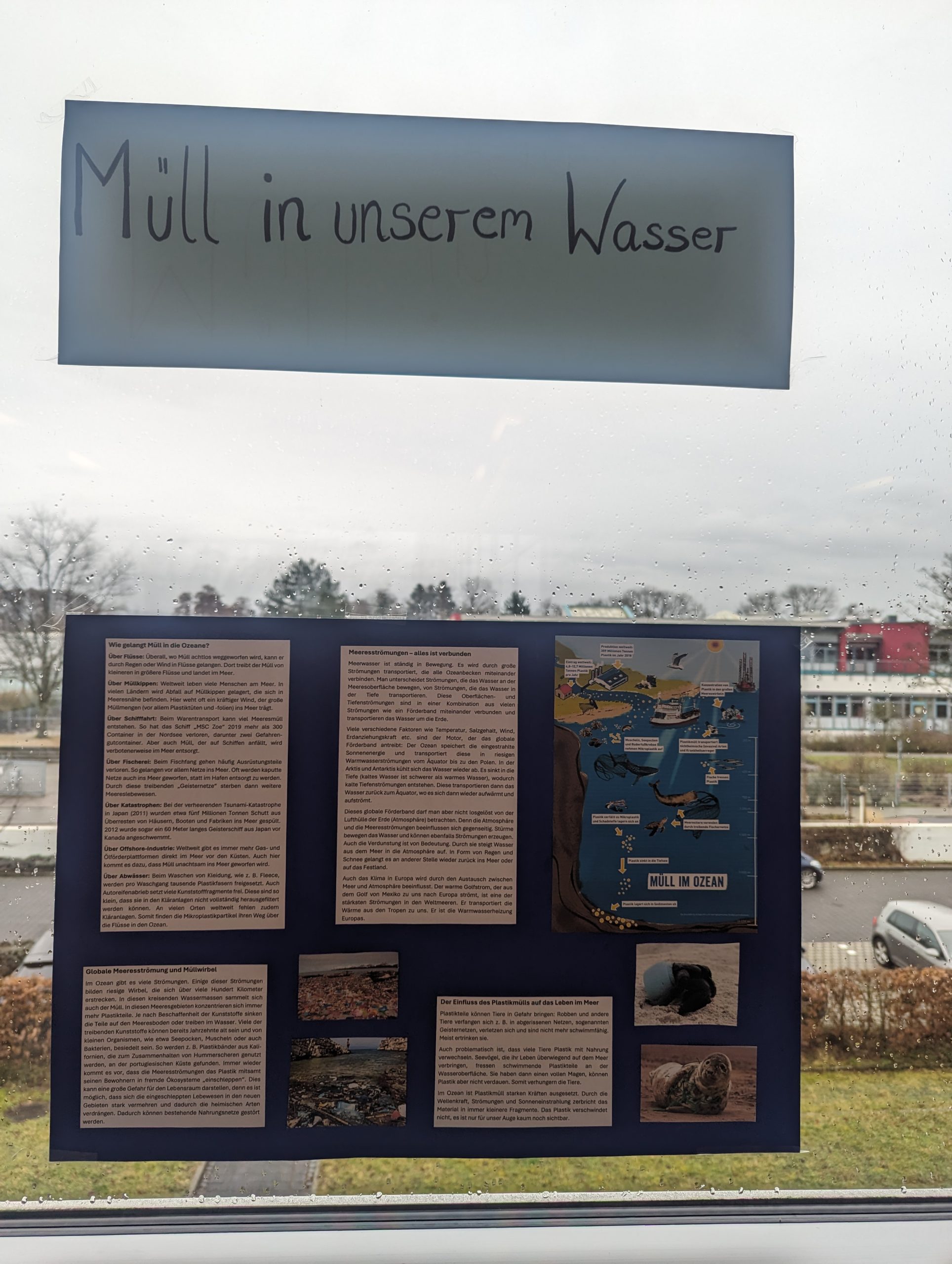Read more about the article Müll in unserem Wasser